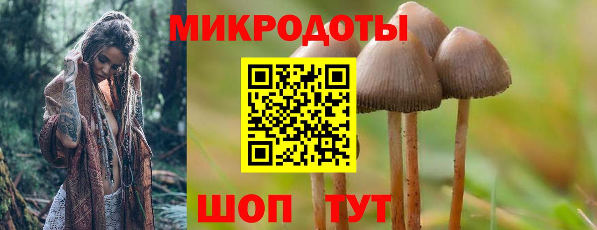 Людиново  Псилоцибиновые грибы Psilocybe  Вход с VPN  Галлюциногенные грибы Magic Shrooms 